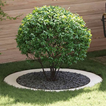 adecuado para Anillo de Árbol Plano Ø90 / 120 cm Acero en Macetas y jardineras | Comprar online en Foru.es