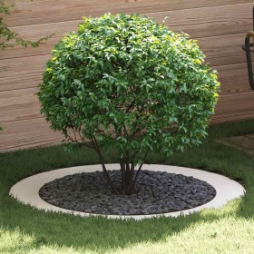 adecuado para Anillos de Árbol Plano 5 pcs Ø90 / 120 cm Acero en Macetas y jardineras | Comprar online en Foru.es