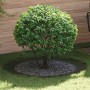 adecuado para Anillo de Árbol Plano Verde oliva Ø90 / 120 cm en Macetas y jardineras | Comprar online en Foru.es