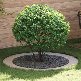 adecuado para Anillo de Árbol Plano Plateado Ø90 / 120 cm en Macetas y jardineras | Comprar online en Foru.es