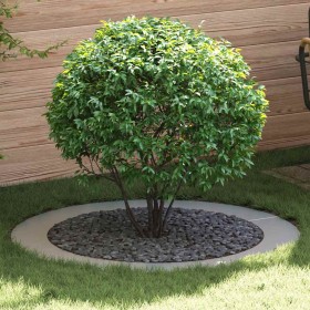 adecuado para Anillo de Árbol Plano Plateado Ø90 / 120 cm en Macetas y jardineras | Comprar online en Foru.es