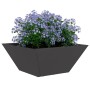 Maceta para Jardín 5 pcs Negro 35 x 35 x 15 cm en Macetas y jardineras | Comprar online en Foru.es