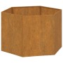 Jardinera de acero corten oxidado 60x60x45 cm de vidaXL, Maceteros y jardineras - Ref: Foro24-823675, Precio: 62,70 €, Descue...