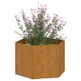 Jardinera de acero corten oxidado 60x60x45 cm de vidaXL, Maceteros y jardineras - Ref: Foro24-823675, Precio: 62,70 €, Descue...