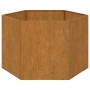 Jardinera de acero corten oxidado 60x60x45 cm de vidaXL, Maceteros y jardineras - Ref: Foro24-823675, Precio: 62,70 €, Descue...