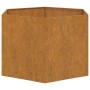 Jardinera de acero corten oxidado 60x60x45 cm de vidaXL, Maceteros y jardineras - Ref: Foro24-823675, Precio: 62,70 €, Descue...
