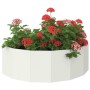 Jardinera 120 x 60 x 35 cm Acero en Macetas y jardineras | Comprar online en Foru.es