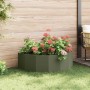 Jardinera Verde Oliva 120 x 60 x 35 cm Acero en Macetas y jardineras | Comprar online en Foru.es