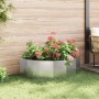 Jardinera Plateado 120 x 60 x 35 cm Acero inoxidable en Macetas y jardineras | Comprar online en Foru.es