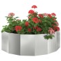 Jardinera Plateado 120 x 60 x 35 cm Acero Galvanizado en Macetas y jardineras | Comprar online en Foru.es