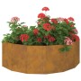 Jardinera Oxidado 120 x 60 x 35 cm Acero autopatinable en Macetas y jardineras | Comprar online en Foru.es