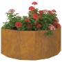 Jardinera Oxidado 90 x 45 x 35 cm Acero autopatinable en Macetas y jardineras | Comprar online en Foru.es
