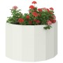 Jardinera 60 x 30 x 35 cm Acero en Macetas y jardineras | Comprar online en Foru.es