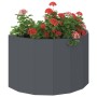 Jardinera Antracita 60 x 30 x 35 cm Acero en Macetas y jardineras | Comprar online en Foru.es