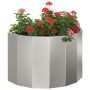 Jardinera Plateado 60 x 30 x 35 cm Acero inoxidable en Macetas y jardineras | Comprar online en Foru.es