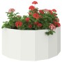 Jardinera 120 x 60 x 50 cm Acero en Macetas y jardineras | Comprar online en Foru.es