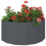 Jardinera Antracita 120 x 60 x 50 cm Acero en Macetas y jardineras | Comprar online en Foru.es