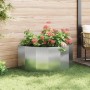 Jardinera Plateado 120 x 60 x 50 cm Acero Galvanizado en Macetas y jardineras | Comprar online en Foru.es