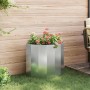 Jardinera Plateado 60 x 30 x 50 cm Acero Galvanizado en Macetas y jardineras | Comprar online en Foru.es