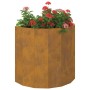 Jardinera Oxidado 60 x 30 x 50 cm Acero autopatinable en Macetas y jardineras | Comprar online en Foru.es