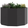 Jardinera Negro 60 x 60 x 35 cm Acero en Macetas y jardineras | Comprar online en Foru.es