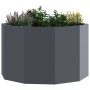 Jardinera Antracita 60 x 60 x 35 cm Acero en Macetas y jardineras | Comprar online en Foru.es