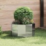 Jardinera Plateado 60 x 60 x 35 cm Acero inoxidable en Macetas y jardineras | Comprar online en Foru.es