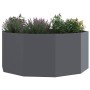 Jardinera Antracita 120 x 120 x 50 cm Acero en Macetas y jardineras | Comprar online en Foru.es
