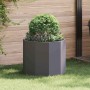 Jardinera Negro 60 x 60 x 50 cm Acero en Macetas y jardineras | Comprar online en Foru.es