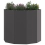 Jardinera Negro 60 x 60 x 50 cm Acero en Macetas y jardineras | Comprar online en Foru.es