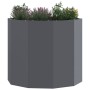 Jardinera Antracita 60 x 60 x 50 cm Acero en Macetas y jardineras | Comprar online en Foru.es