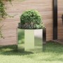 Jardinera Plateado 60 x 60 x 50 cm Acero inoxidable en Macetas y jardineras | Comprar online en Foru.es