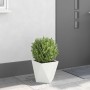 Jardinera 30 x 30 x 30 cm Acero en Macetas y jardineras | Comprar online en Foru.es