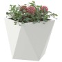 Jardinera 2 pcs 30 x 30 x 30 cm Acero en Macetas y jardineras | Comprar online en Foru.es