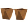 Jardinera 2 pcs Oxidado 30 x 30 x 30 cm Acero autopatinable en Macetas y jardineras | Comprar online en Foru.es