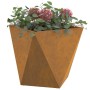Jardinera 2 pcs Oxidado 40 x 40 x 40 cm Acero autopatinable en Macetas y jardineras | Comprar online en Foru.es