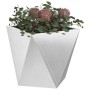 Jardinera 2 pcs Plateado 50 x 50 x 50 cm Acero inoxidable en Macetas y jardineras | Comprar online en Foru.es