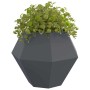 Jardinera 2 pcs Antracita 100 x 100 x 80 cm Acero en Macetas y jardineras | Comprar online en Foru.es