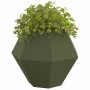 Jardinera 2 pcs Verde Oliva 100 x 100 x 80 cm Acero en Macetas y jardineras | Comprar online en Foru.es