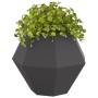 Jardinera Negro 75 x 75 x 60 cm Acero en Macetas y jardineras | Comprar online en Foru.es