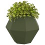 Jardinera 2 pcs Verde Oliva 75 x 75 x 60 cm Acero en Macetas y jardineras | Comprar online en Foru.es