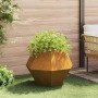 Jardinera 2 pcs Oxidado 75 x 75 x 60 cm Acero autopatinable en Macetas y jardineras | Comprar online en Foru.es