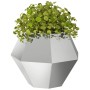 Jardinera Plateado 50 x 50 x 40 cm Acero Galvanizado en Macetas y jardineras | Comprar online en Foru.es