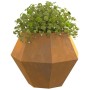 Jardinera 2 pcs Oxidado 50 x 50 x 40 cm Acero autopatinable en Macetas y jardineras | Comprar online en Foru.es