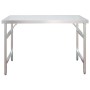 Mesa de trabajo para cocina con estante acero inox 120x60x145cm de vidaXL, Restauración - Ref: Foro24-3155992, Precio: 317,98...