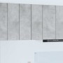 Mueble colgante Riga 2 pcs Gris Concreto y 30 x 31 x 80 cm en Armarios de cocina | Comprar online en Foru.es