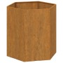Jardinera de acero corten oxidado 40x40x45 cm de vidaXL, Maceteros y jardineras - Ref: Foro24-823674, Precio: 43,62 €, Descue...