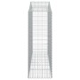 Cestas gaviones 20 uds forma de arco hierro 200x50x140/160 cm de vidaXL, Maceteros y jardineras - Ref: Foro24-3145697, Precio...