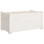 Jardineras 2 uds madera maciza de pino blanco 60x31x31 cm de vidaXL, Maceteros y jardineras - Ref: Foro24-810707, Precio: 54,...