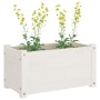 Jardineras 2 uds madera maciza de pino blanco 60x31x31 cm de vidaXL, Maceteros y jardineras - Ref: Foro24-810707, Precio: 54,...
